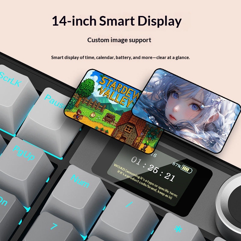 لوحة مفاتيح ميكانيكية AULA F10 - مراجعة Gaming Keyboard Not Typing وسعره